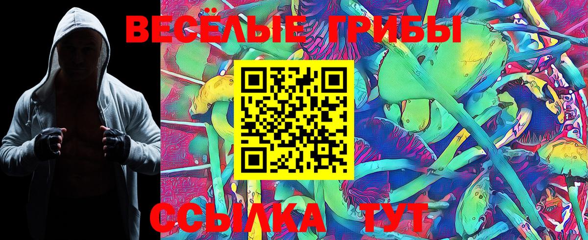 Галлюциногенные грибы GOLDEN TEACHER Ялта
